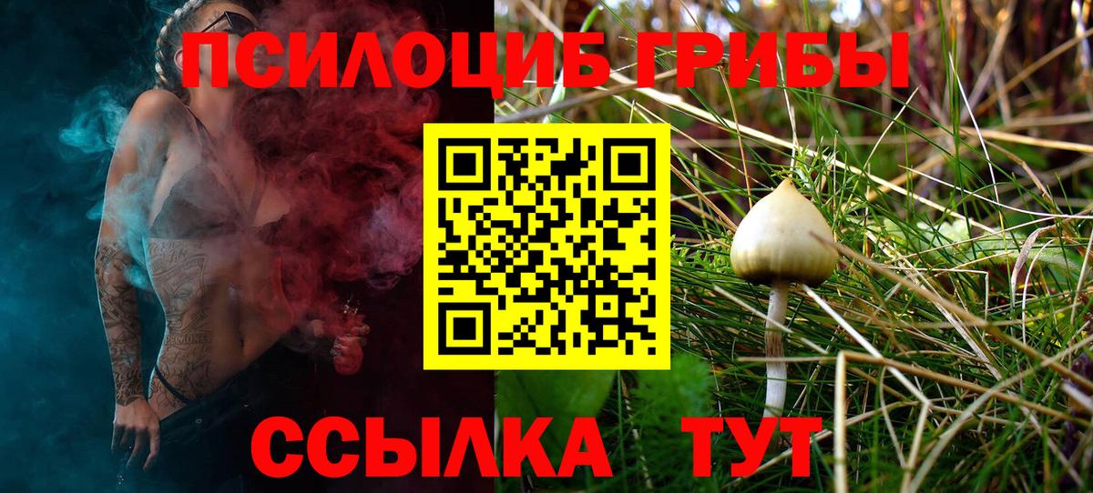 Псилоцибиновые грибы MAGIC MUSHROOMS Нижний Тагил