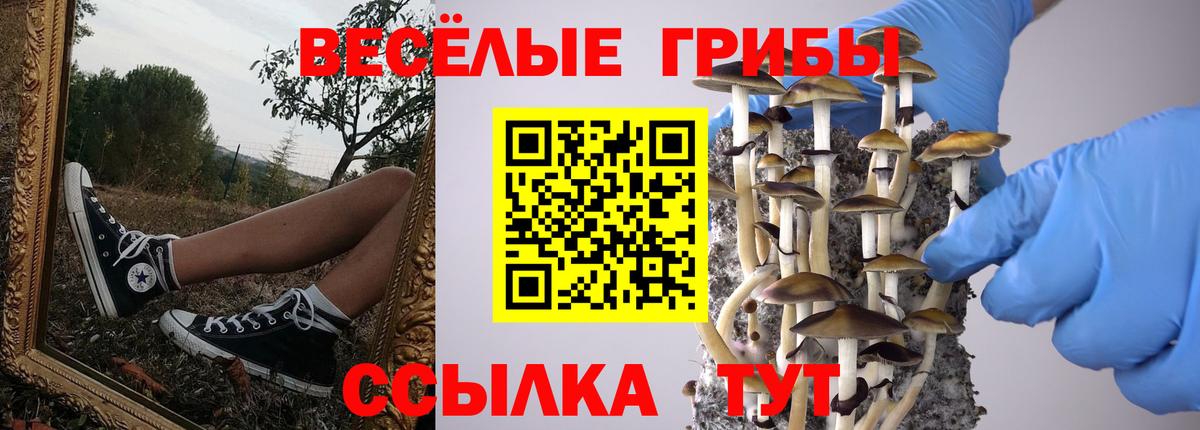 Нижний Тагил  Галлюциногенные грибы мицелий  Вход с VPN 